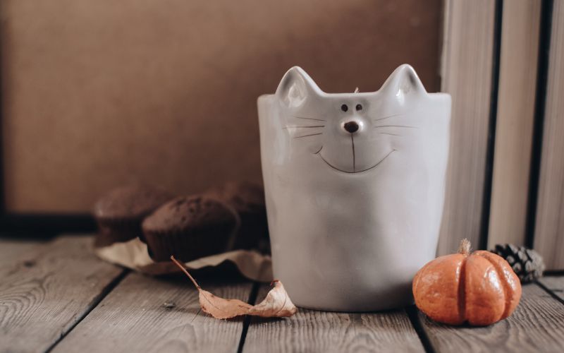 Mug Chat : Pour les Amateurs de Chats