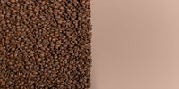 des grains de café pour tout savoir sur le café